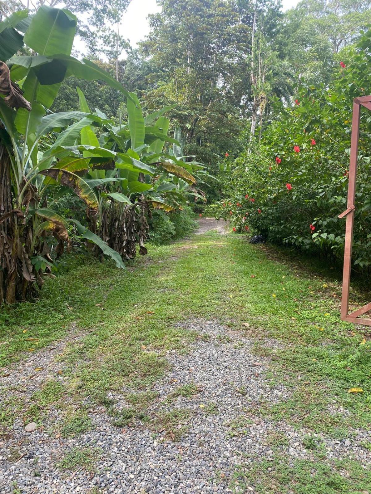 Villa Caribbean Retreats Cocles Exterior foto